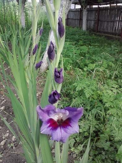 P220711_08.26_[01]