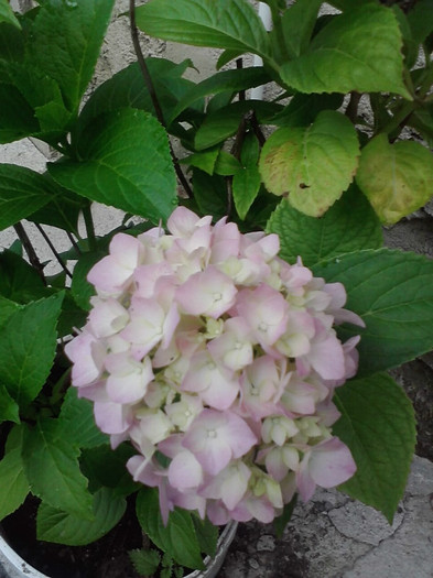 P220711_08.30_[02]