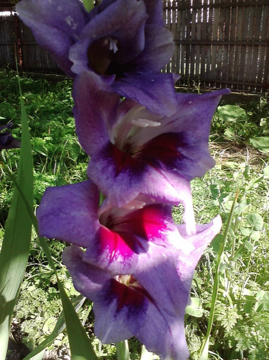 P230711_09.45_[02]