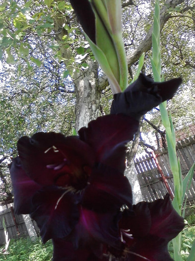 P230711_09.46_[03]
