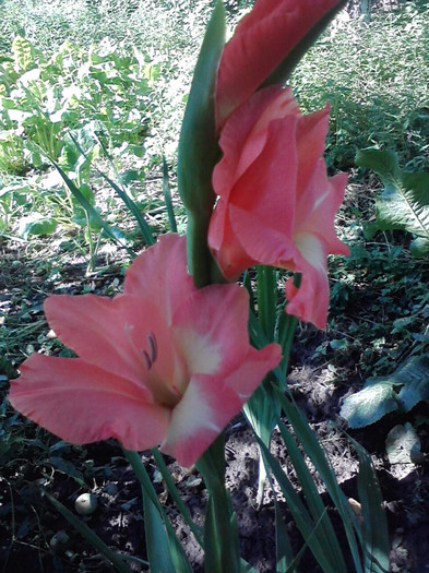 P230711_09.48_[02]