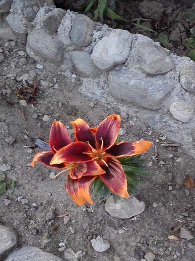 P270611_19.25_[03]