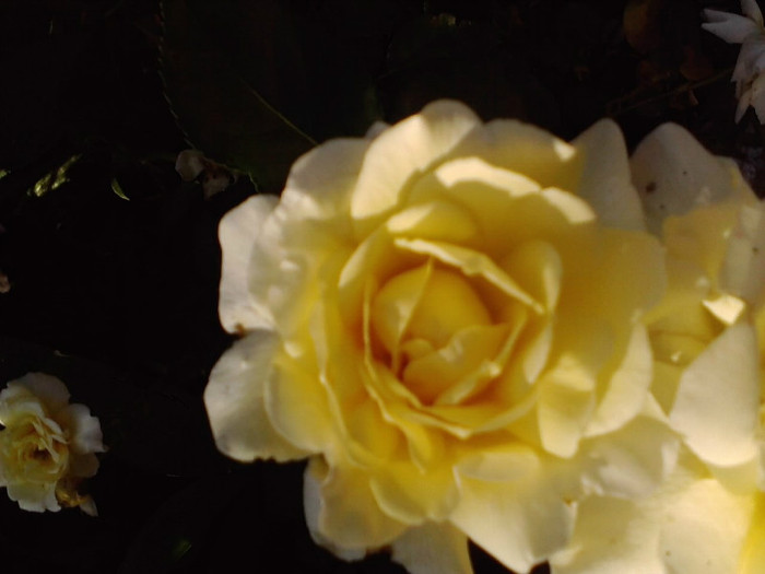 P270611_19.29_[01]