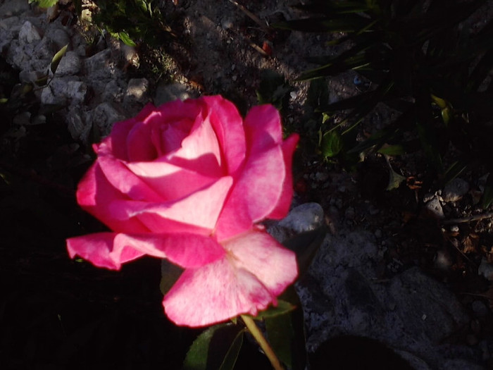 P270611_19.29_[04]