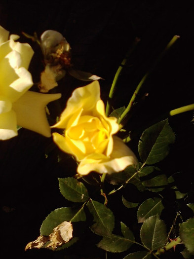 P270611_19.30_[01]