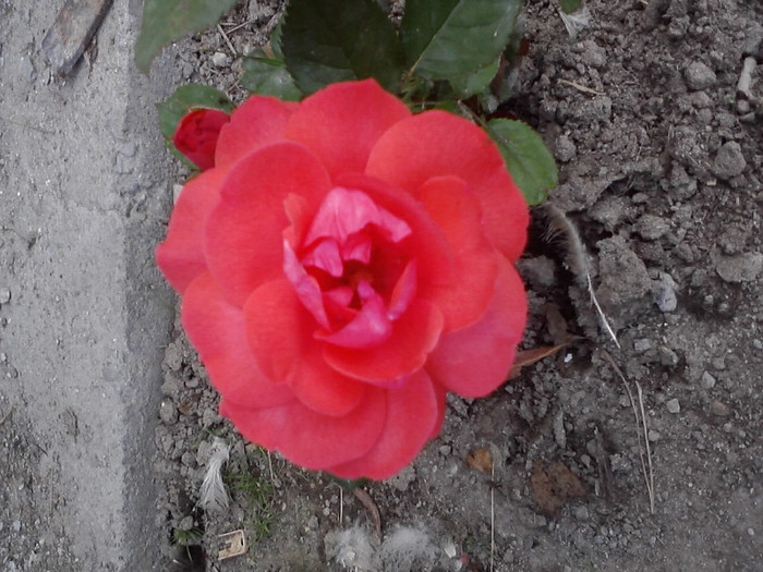 P270611_19.30_[02]