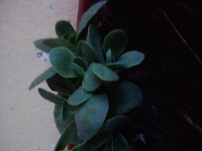 P280411_20.17_[01]