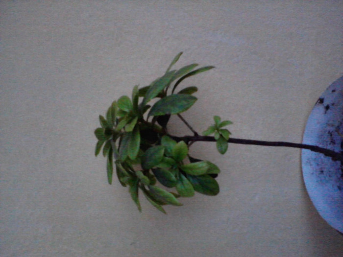 P280411_20.19_[01]