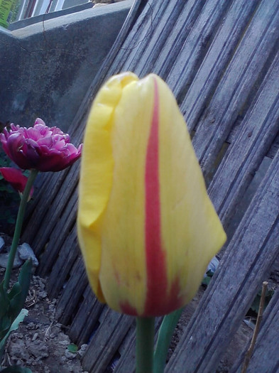 P290411_19.00_[01]
