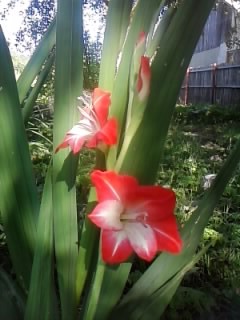 P290711_17.29_[02]