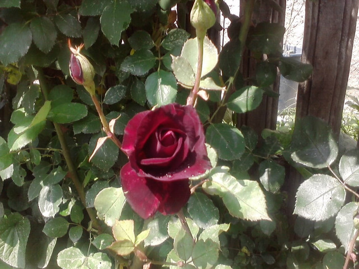 P300511_14.54_[02]
