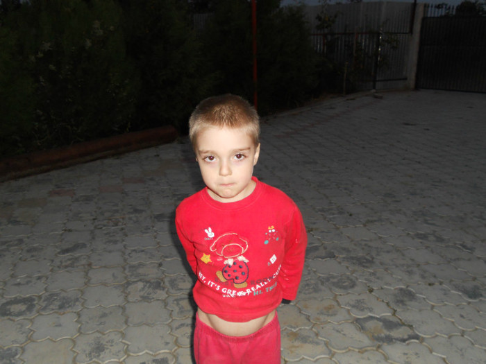 18 sept2011 057 - albine