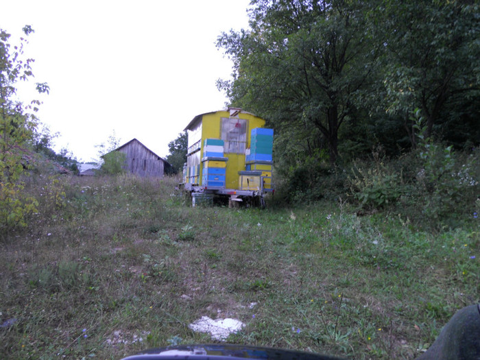 POZE AUGUST 2011 012