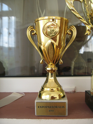 expopastoralis - Molda