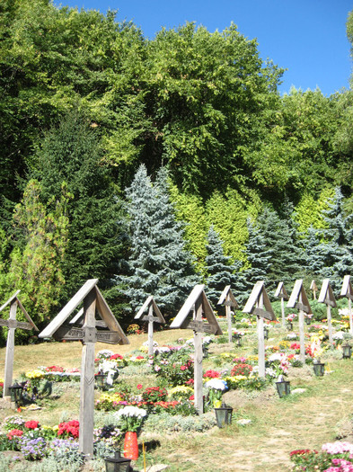 Manastirea Prislop 019 - 8 LOCURI INCINTATOARE