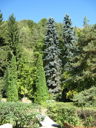 Manastirea Prislop 034