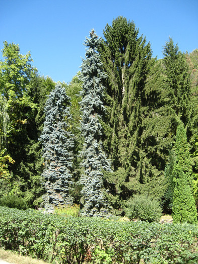 Manastirea Prislop 035