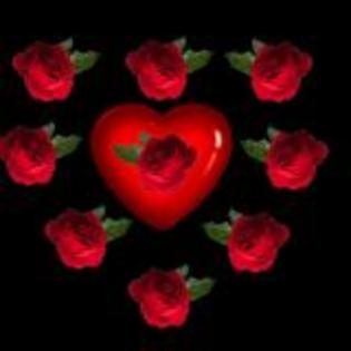 y love you - Love You