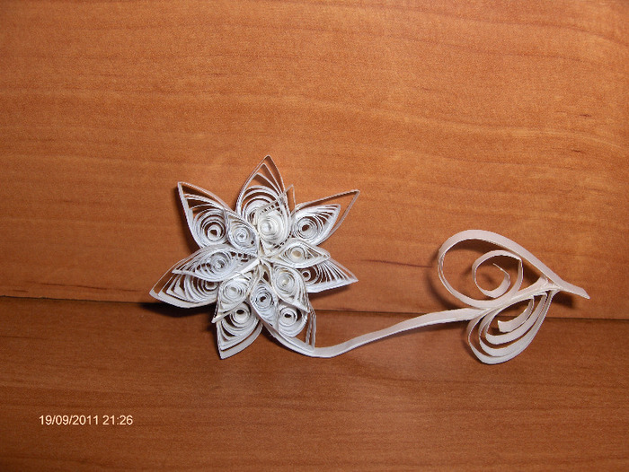 HPIM6429 - QUILLING