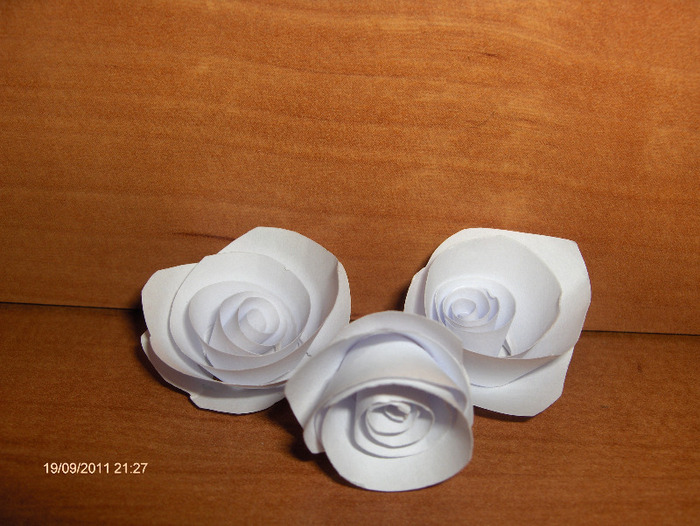 HPIM6431 - QUILLING