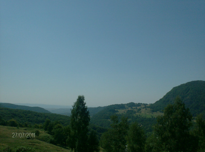 v (4) - zile de vacanta