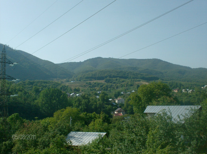 valea alba (11) - zile de vacanta