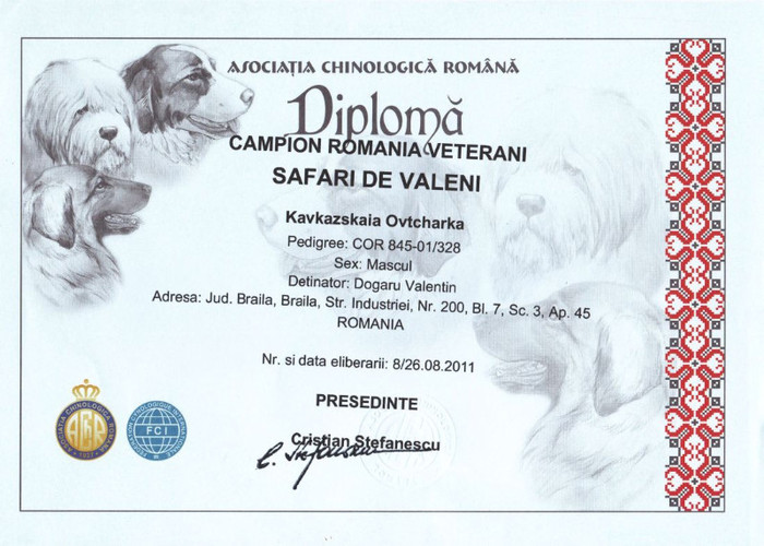 arkan diploma jpg - Arkan