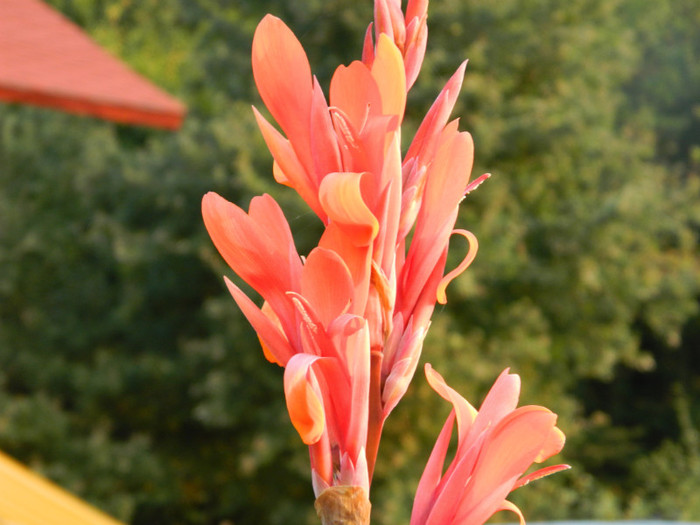 001 - 09_SEPTEMBRIE