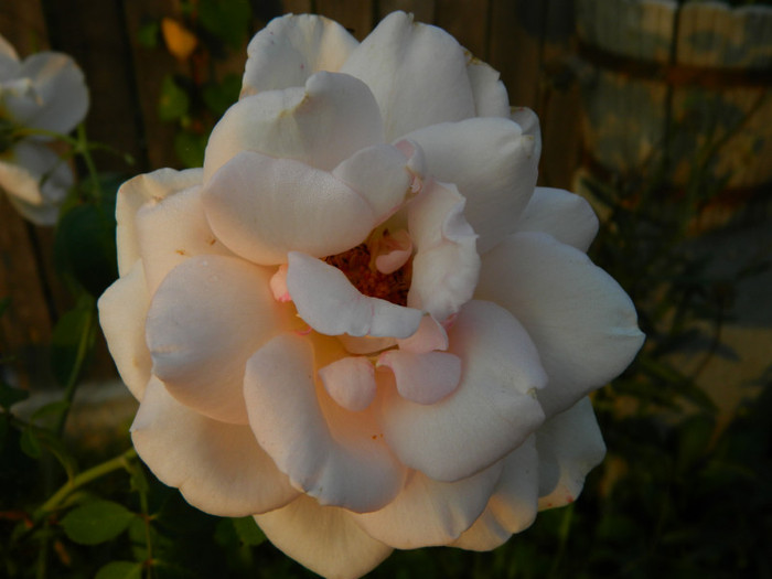 005 - 09_SEPTEMBRIE
