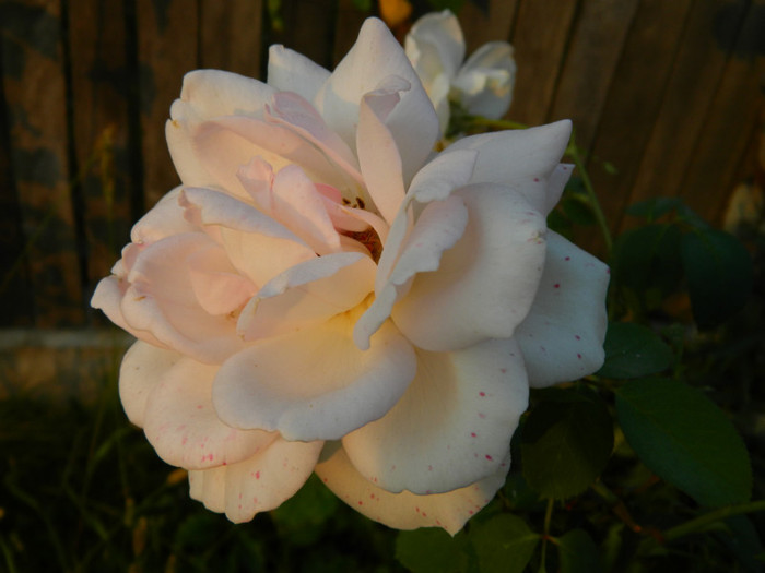 006 - 09_SEPTEMBRIE