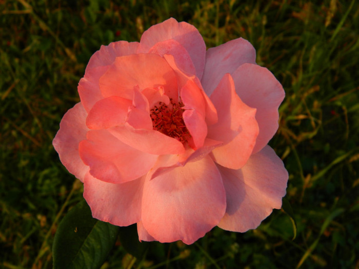 008 - 09_SEPTEMBRIE