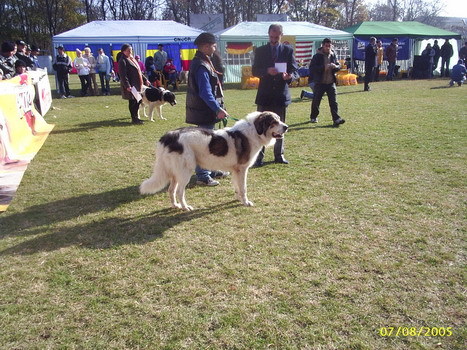 barlad 2005 Mar de Mihalache