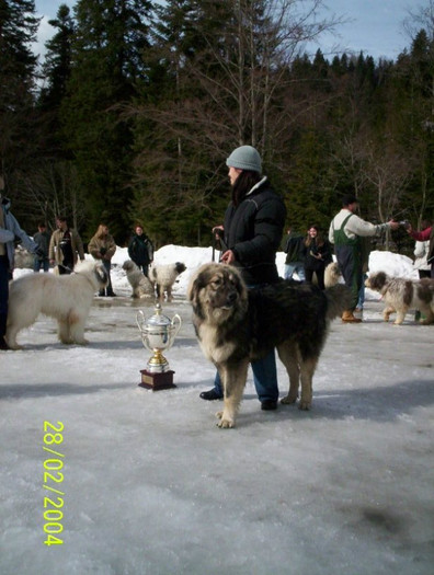 Tomis de Constanta BIS azuga 2004