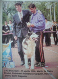 martin de piatra pinului