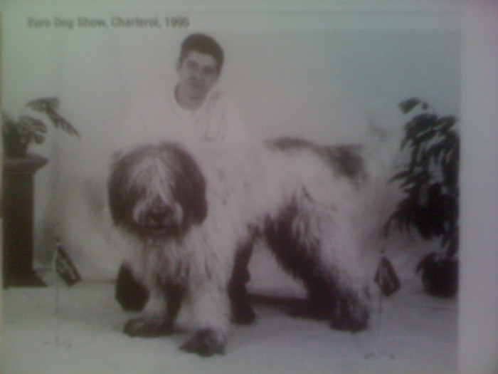 Ursu Euro Dog Show Charleroi 1996
