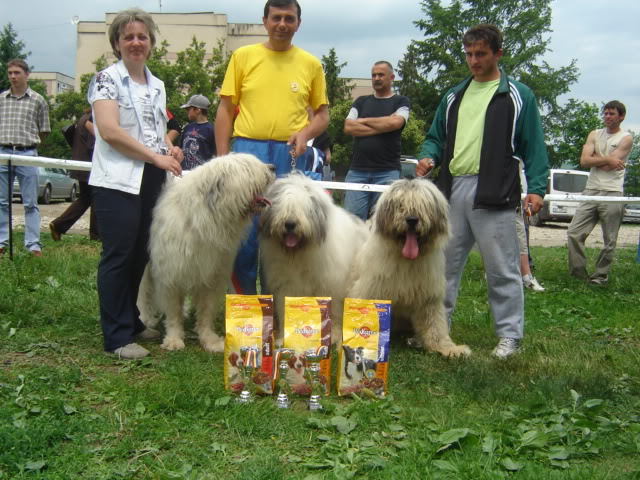 mihu de butte,vifor de romanescu cluj 2006