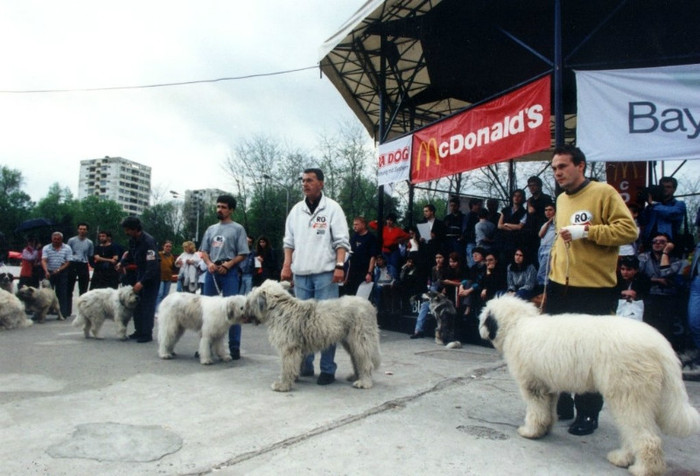 floreasca 1999