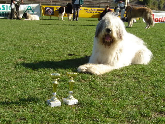 Mihu de Butte barlad 2006