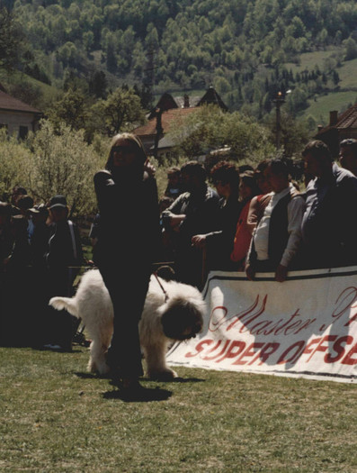samson de romania