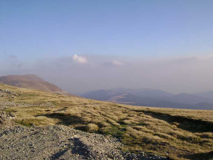 DSC08026 - Transalpina Ranca