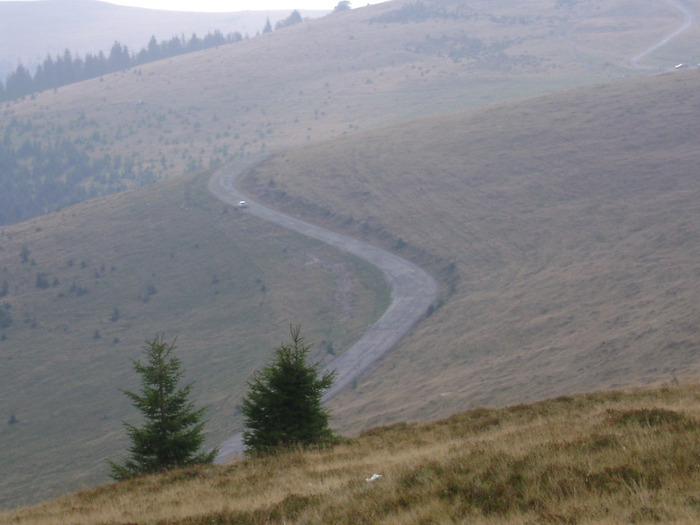 DSC08047 - Transalpina Ranca