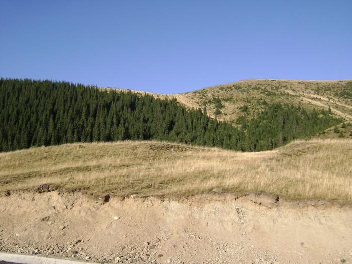 DSC07992 - Transalpina Ranca