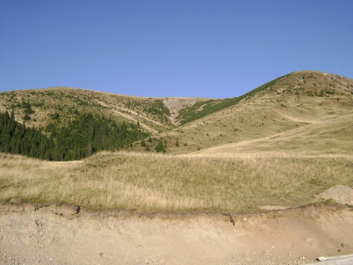 DSC07993 - Transalpina Ranca