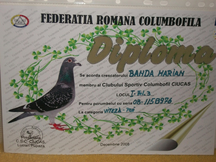 poze cupe 015 - cupe si diplome