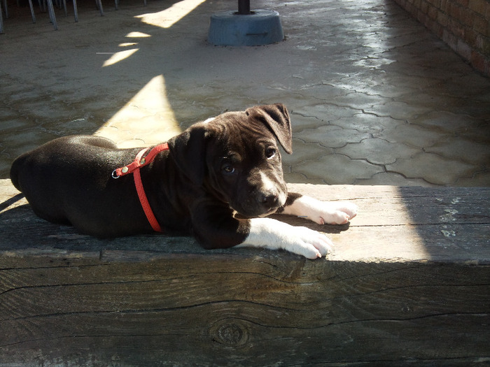 Photo404 - Sara si Leo