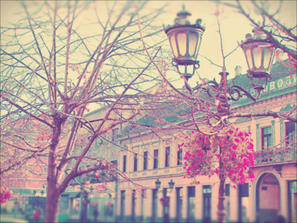  - 0 Artistic Pic 0
