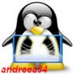 linux penguins