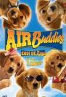 image - Air-Buddies-eroi de casa