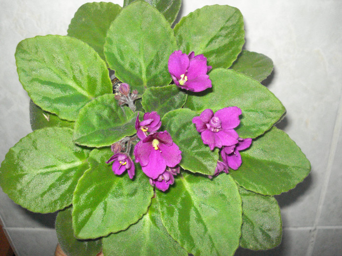 DSC00357