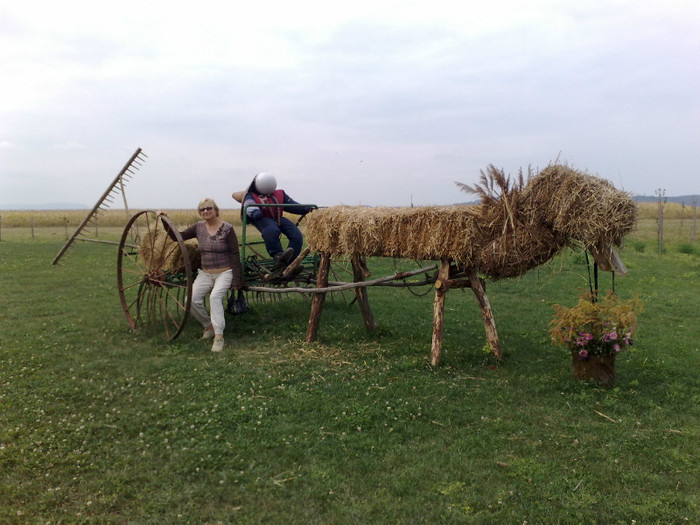 am fost la greblat cu calutul